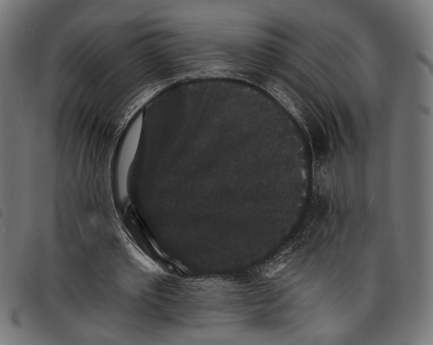 X0000097670389200803281017
