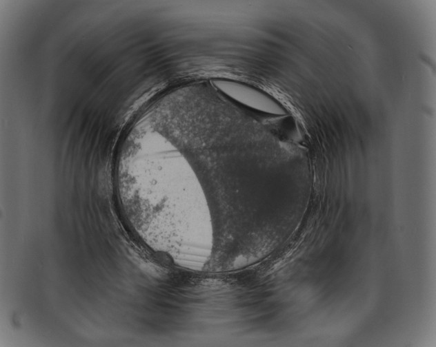 X0000097670390200803281017