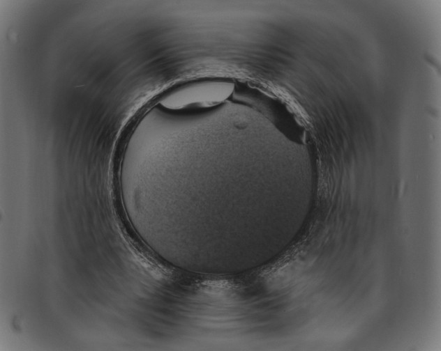 X0000097670391200803281017