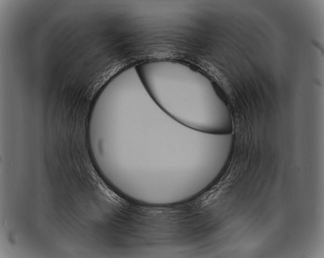X0000097670393200803281017