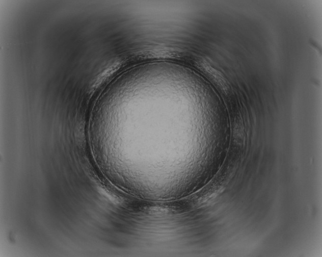 X0000097670394200803281017
