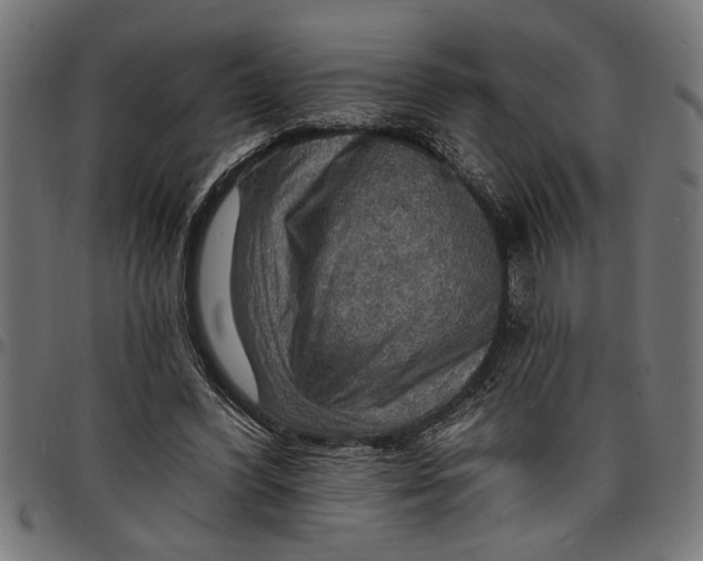 X0000097670396200803281017
