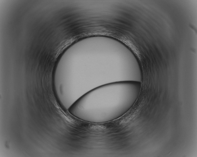X0000097670397200803281017