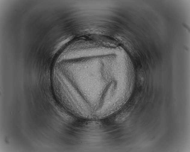 X0000097670398200803281017
