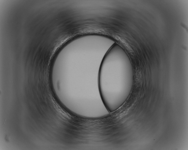 X0000097670399200803281017