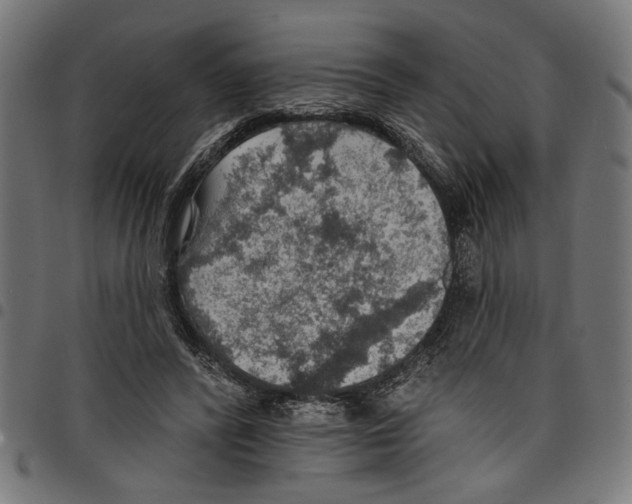 X0000097670400200803281017