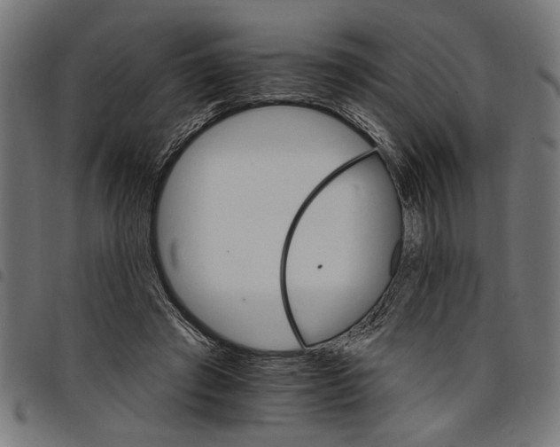 X0000097670401200803281017