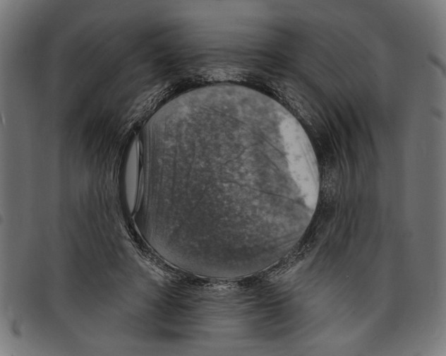 X0000097670402200803281017