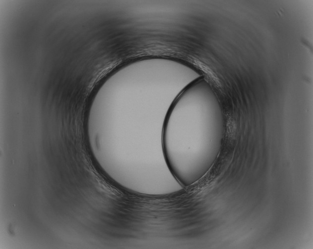 X0000097670403200803281017