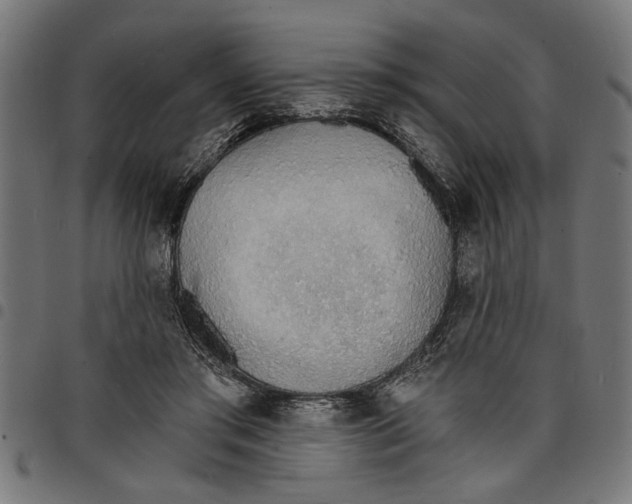 X0000097670405200803281017