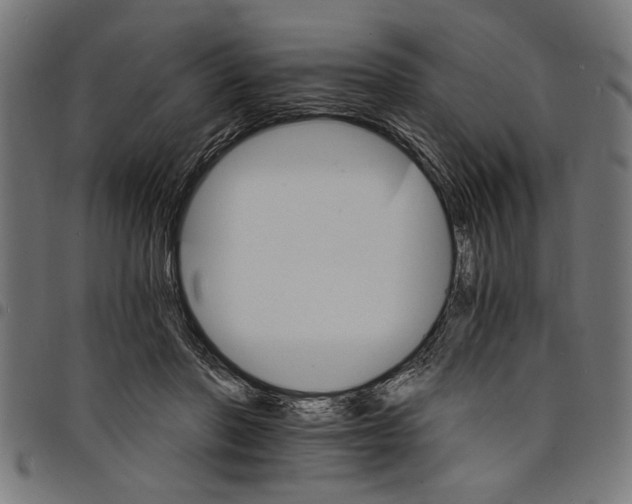 X0000097670406200803281017