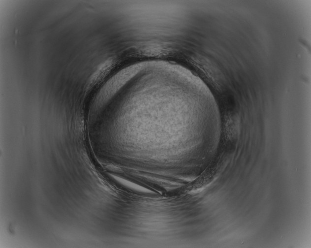 X0000097670407200803281017