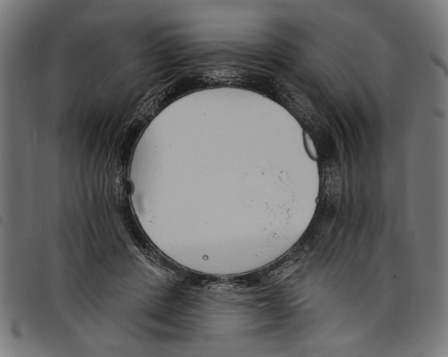 X0000097670408200803281017