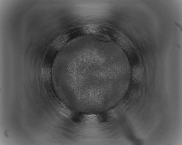 X0000097670409200803281017