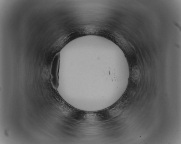 X0000097670413200803281017