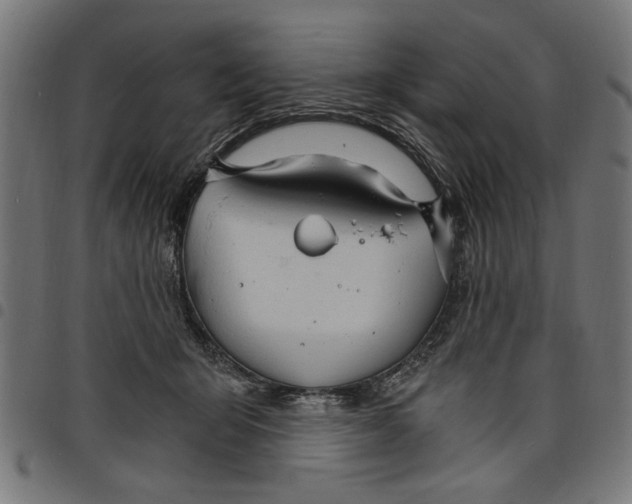 X0000097670415200803281017