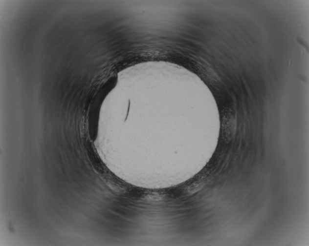 X0000097670416200803281017