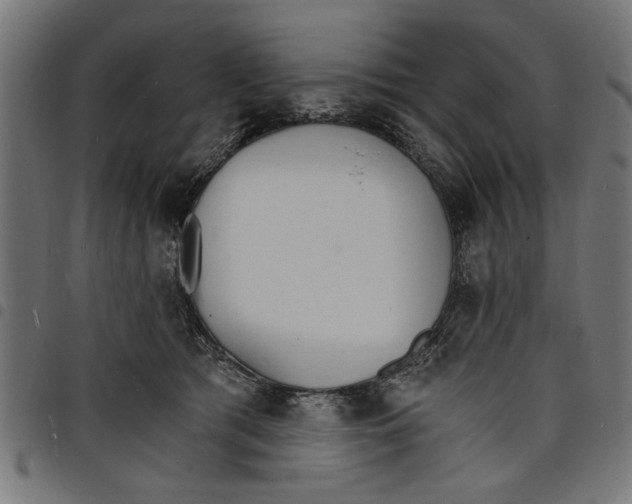 X0000097670417200803281017