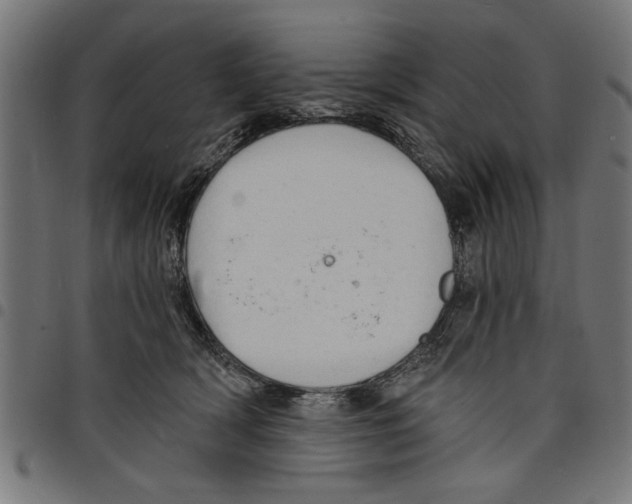 X0000097670418200803281017