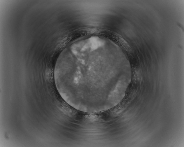 X0000097670419200803281017