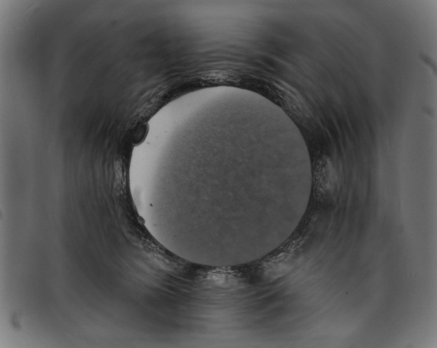 X0000097670420200803281016