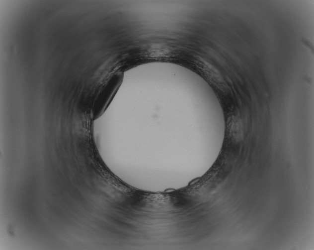 X0000097670421200803281016