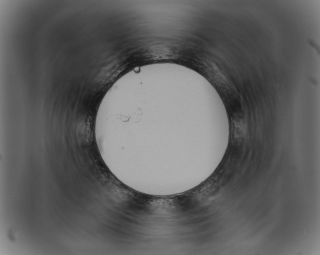 X0000097670422200803281016