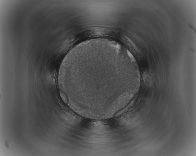 X0000097670423200803281016