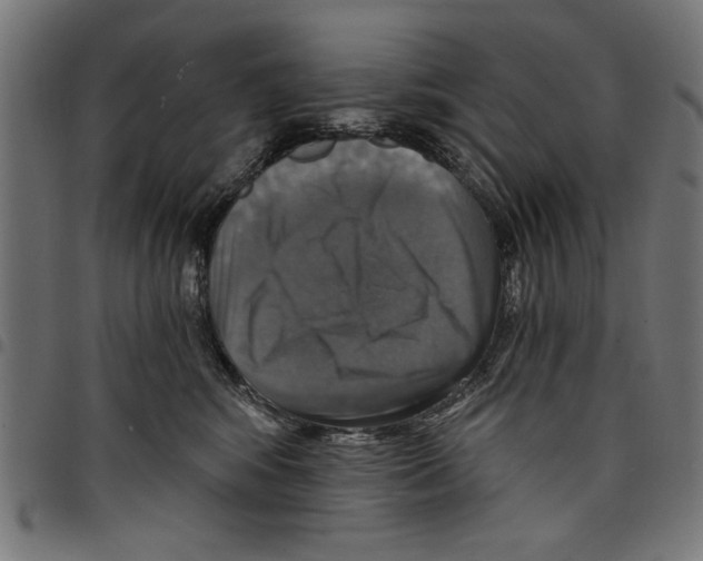 X0000097670424200803281016
