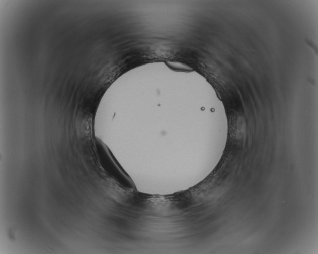 X0000097670425200803281016