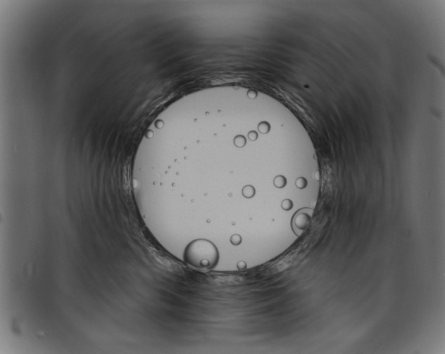 X0000097670426200803281016
