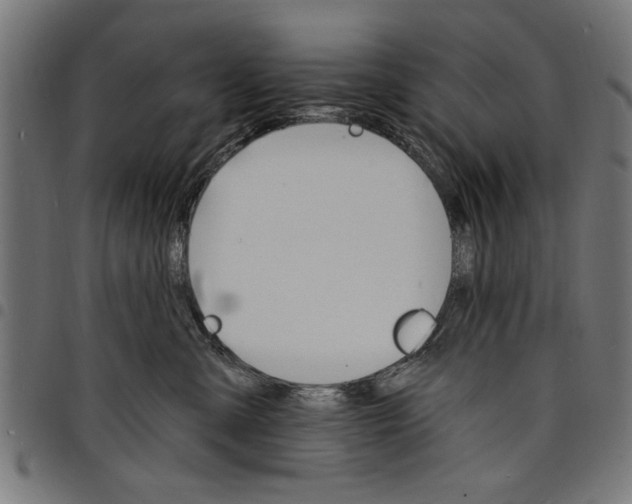 X0000097670427200803281016