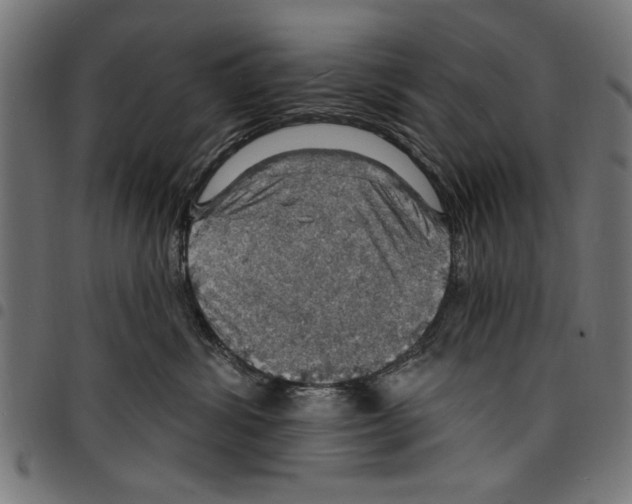 X0000097670428200803281016