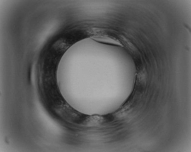 X0000097670429200803281016