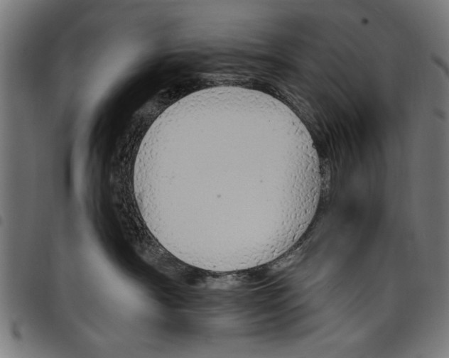 X0000097670430200803281016