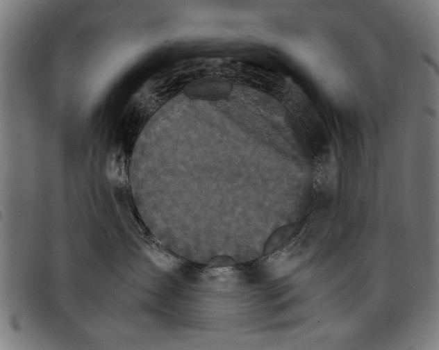 X0000097670431200803281016
