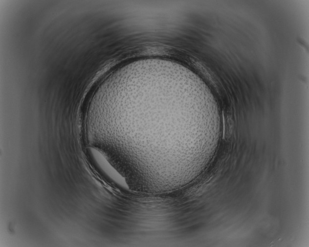 X0000097670435200803281016