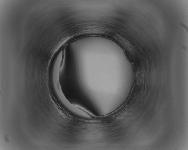 X0000097670436200803281016