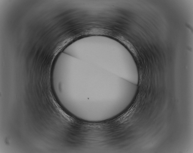 X0000097670437200803281016