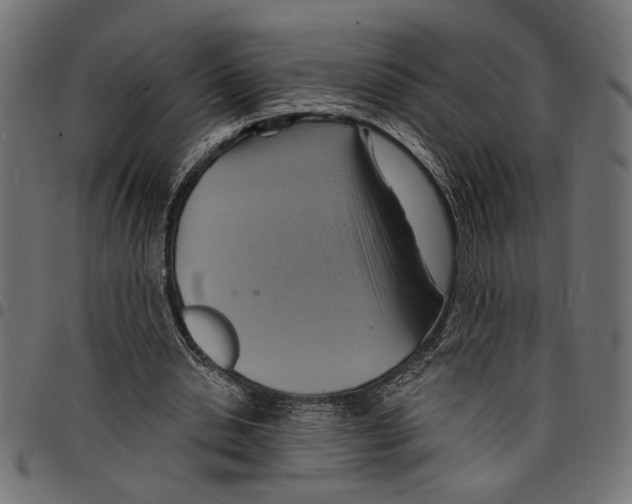 X0000097670438200803281016