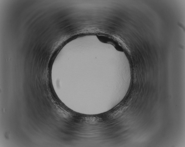 X0000097670439200803281016