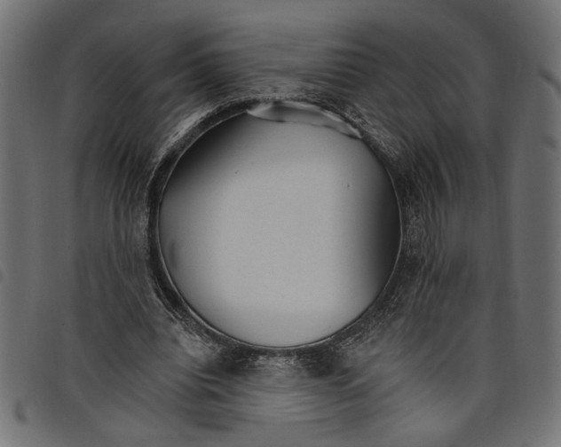 X0000097670440200803281016