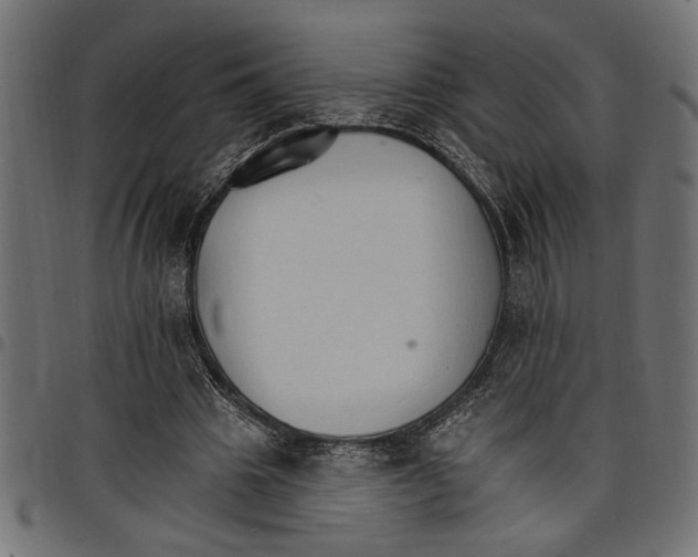 X0000097670441200803281016