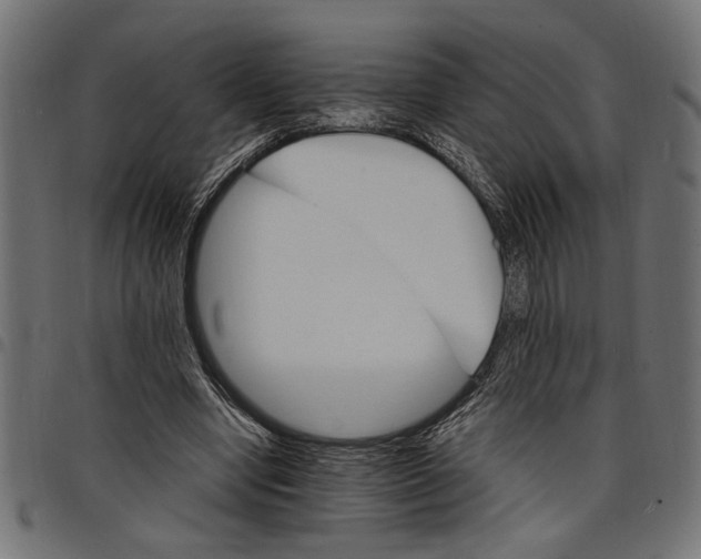 X0000097670442200803281016