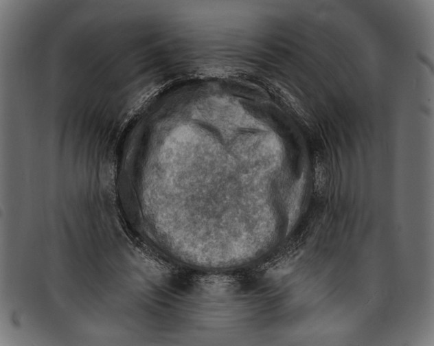 X0000097670444200803281016