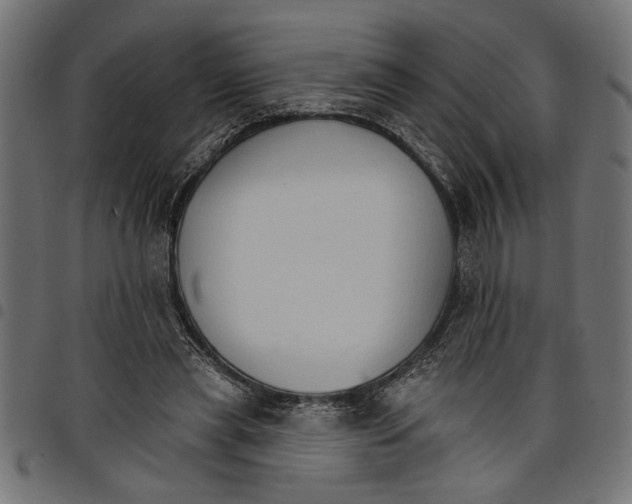X0000097670445200803281016