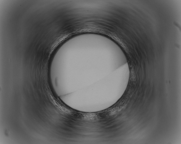 X0000097670446200803281016