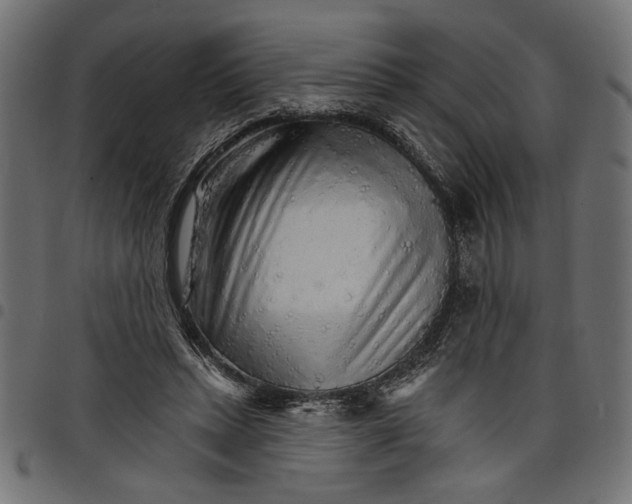 X0000097670447200803281016