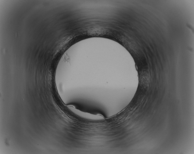 X0000097670448200803281016