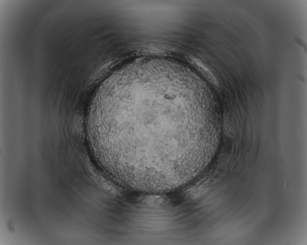 X0000097670449200803281016